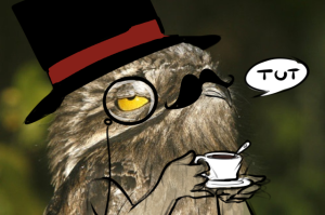 mr__potoo_is_not_amused_by_secret_pony-d65oite